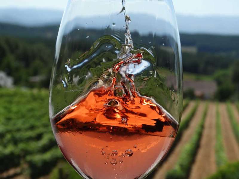 Copa de vino viñas de fondo en Palacio de Canedo